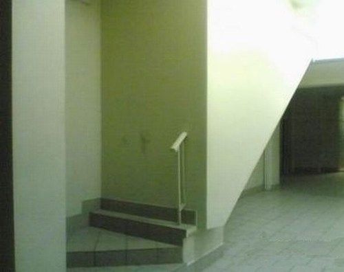 Describe this image